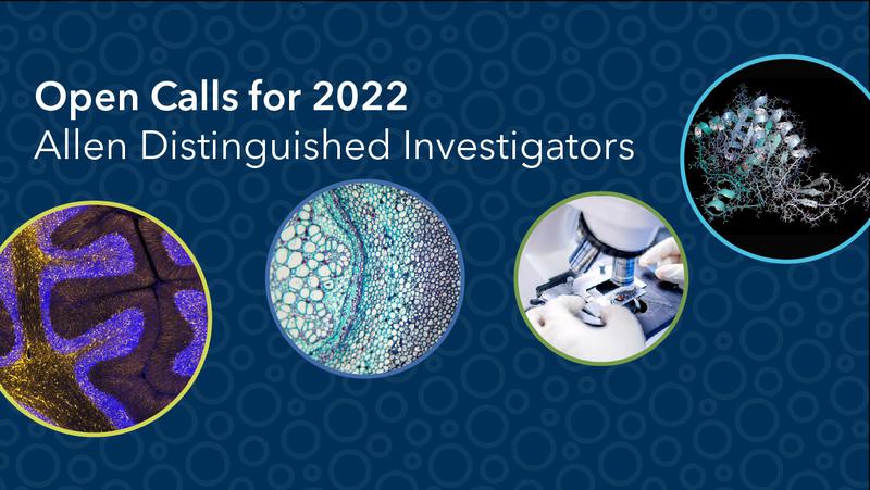 2022 Allen Distinguished Investigator (ADI) Open Calls